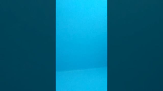 Ona to zna смотреть онлайн