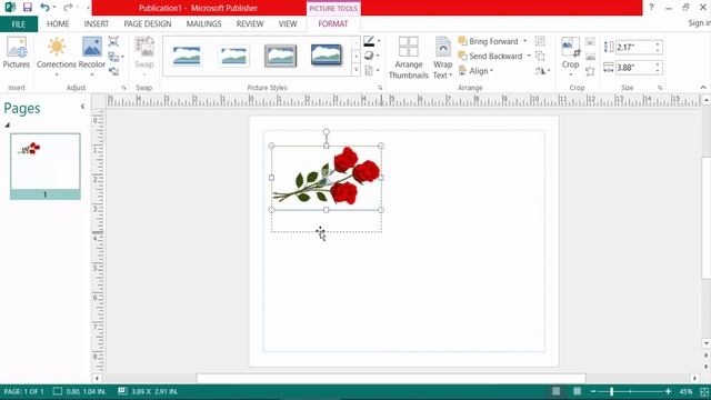 How to mirror an image in Microsoft Publisher смотреть онлайн