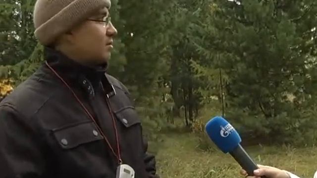 Городской парк WM portal смотреть онлайн