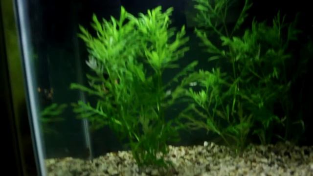 Thanks BRIIAAAAAN! смотреть онлайн