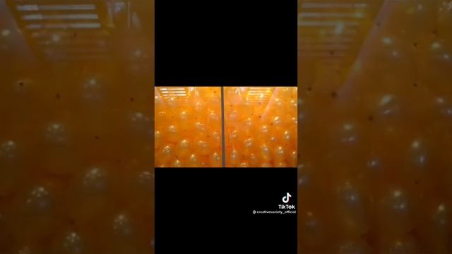 Удивительный эксперимент смотреть онлайн