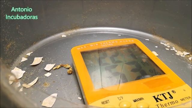 Cómo hacer una incubadora casera смотреть онлайн