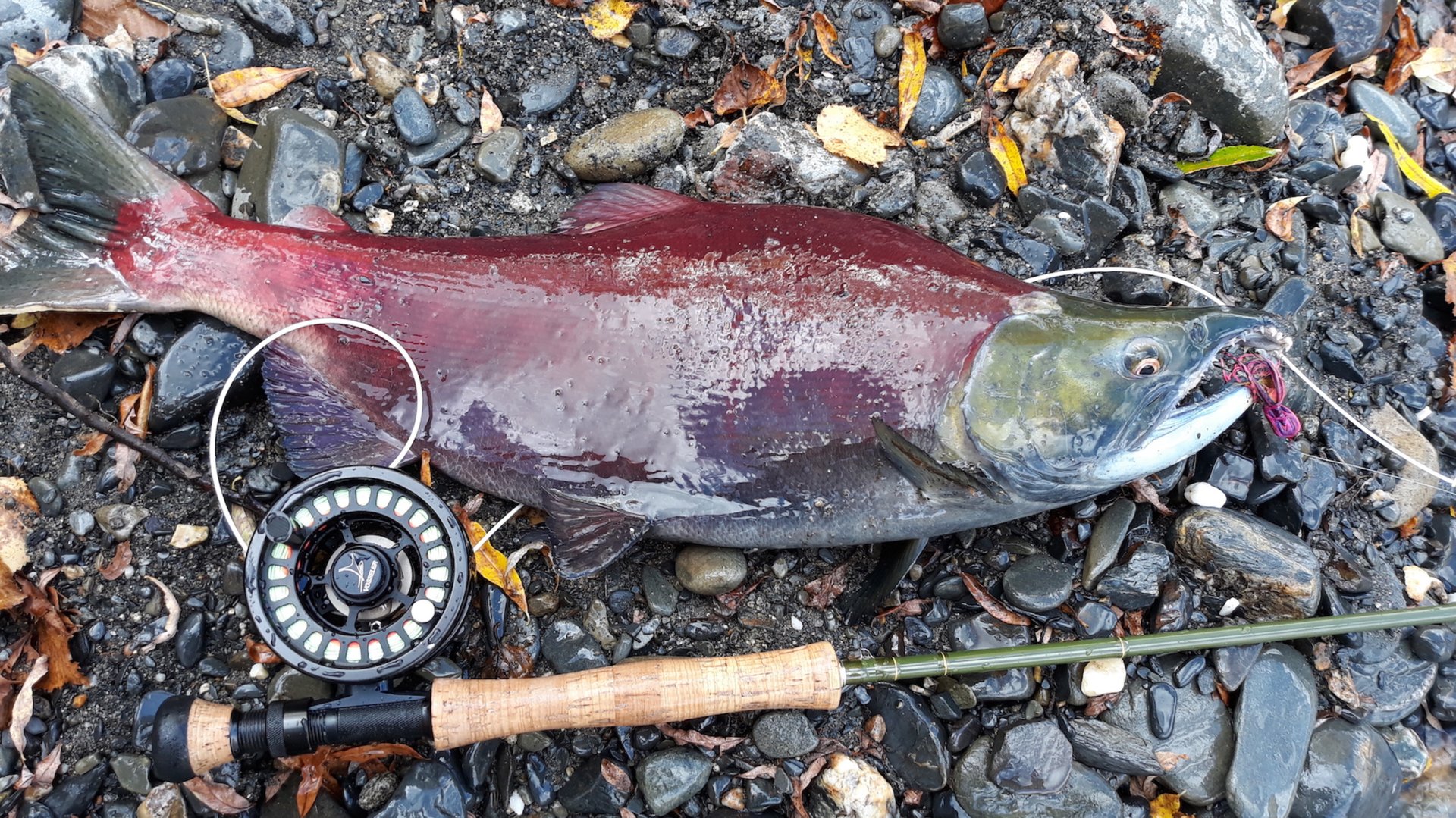 Камчатка 2018+ смотреть онлайн