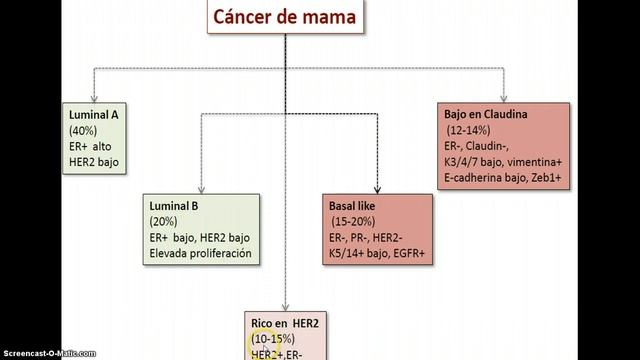 DIAGNÓSTICO GENÉTICO DEL CÁNCER PARTE 2 смотреть онлайн