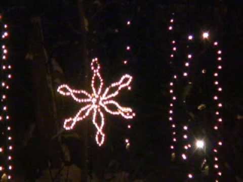 Green Bay Botanical Gardens trail of light смотреть онлайн
