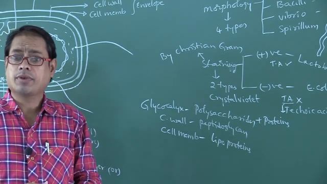 Part 1 -Biological Classification смотреть онлайн