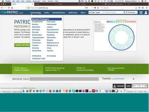 PATRIC Proteome Comparison Webinar 2018 01 30 смотреть онлайн