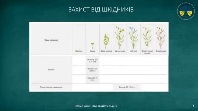 Хімічний захист сільсьгоспкультур смотреть онлайн