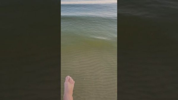 Змеи в Азовском море!!!