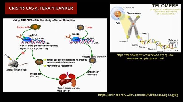 Gunting molekuler CRISPR Cas 9 dan Farmakogenomik Ana Indrayati смотреть онлайн