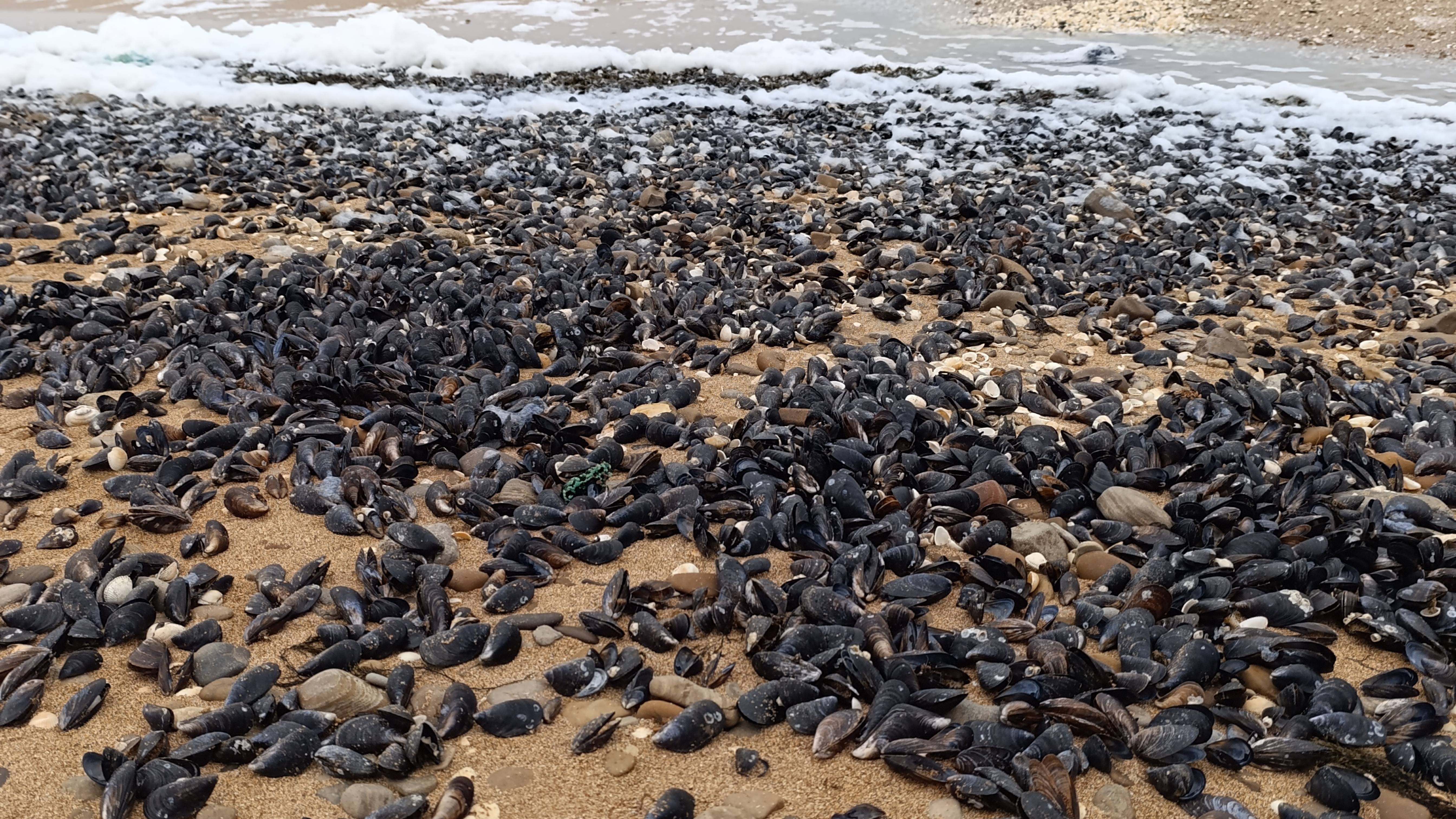 крымский мост смотреть онлайн