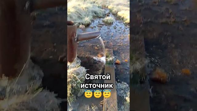 святой источник смотреть онлайн