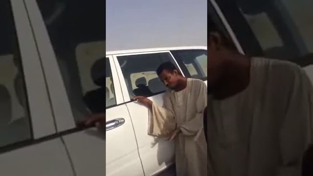 Арабские чудаки смотреть онлайн