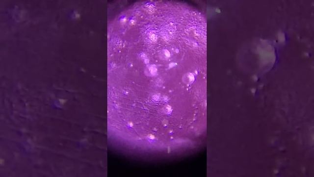 Gummies in a 100x Scope! смотреть онлайн