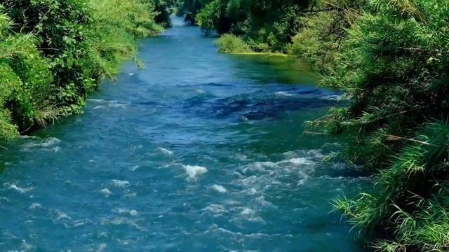 Relaxing River Sound _Peaceful Forest River-and flowers-HD 1080p-Nature video by Nature secret смотреть онлайн