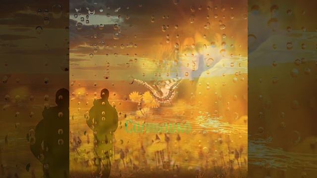 Солнышко моё *Александр Патласов * смотреть онлайн