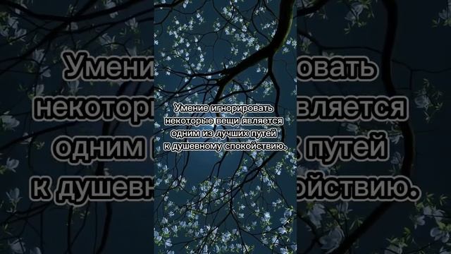 Умение игнорировать некоторые вещи является... #2023 #фразы #душевный #закат #природа #луна #ночь смотреть онлайн