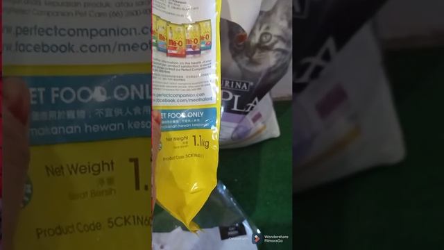 Makanan yang murah dan bagus untuk kucing hamil смотреть онлайн