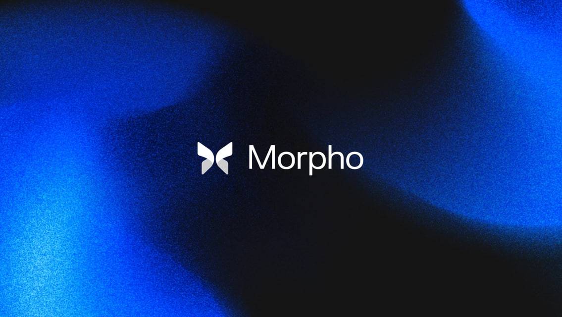 MORPHO +6k ЛИСТИНГ смотреть онлайн