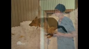 Отвращение Хухтара 0 [RYTP]