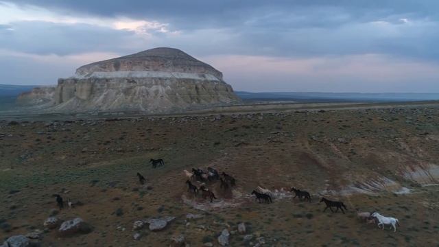 Janaozen Tv смотреть онлайн