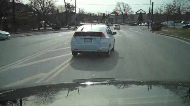 Honda Insight Hybrid with a dog riding shotgun! смотреть онлайн