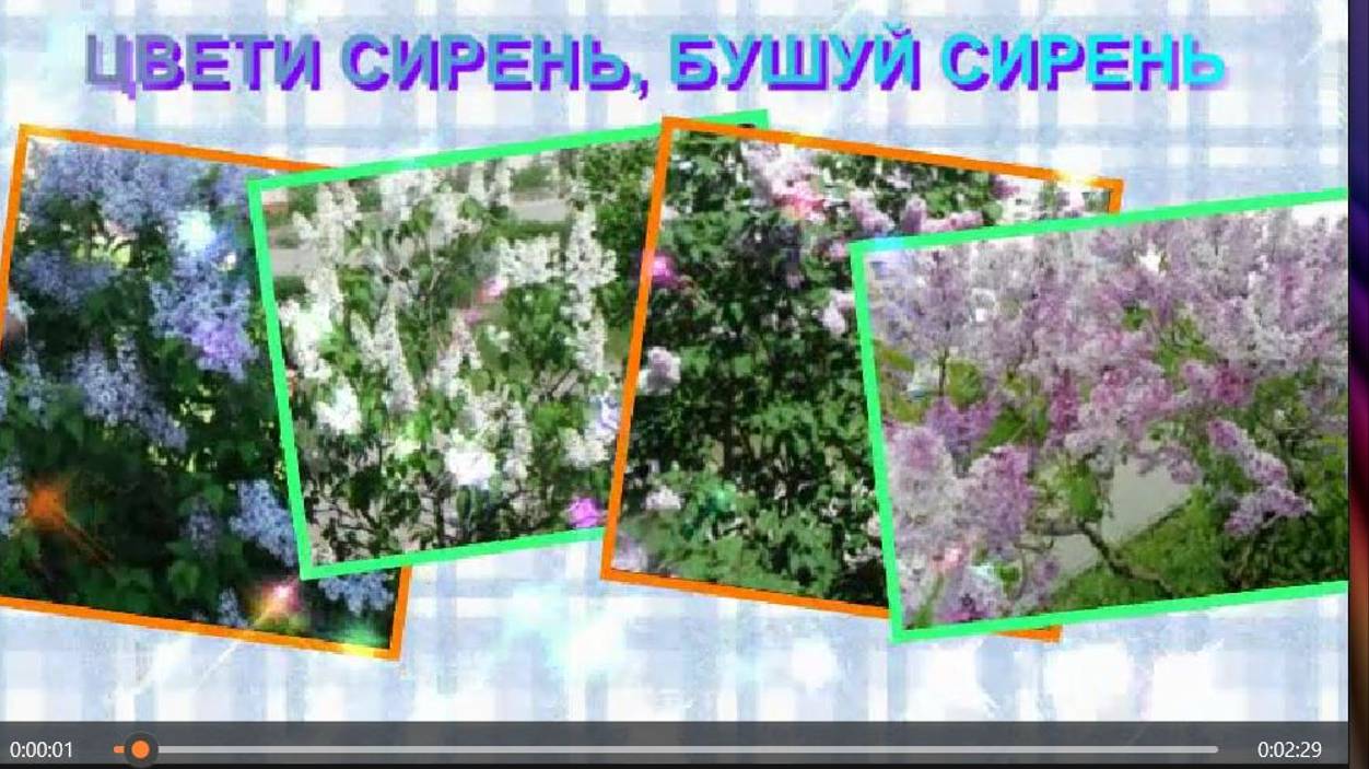 Цвети сирень смотреть онлайн