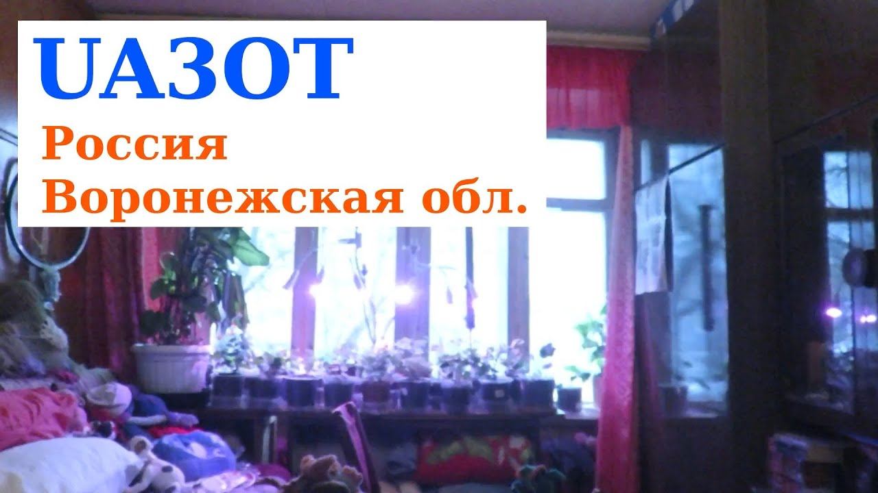 UA3OT QRP CW indoor QSO 14 MHz комнатная EH антенна 5W смотреть онлайн