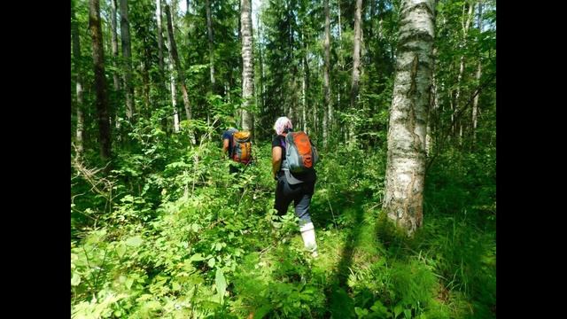 Стрелки 27 июля 2023 года смотреть онлайн