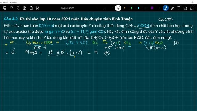 Đốt cháy hoàn toàn 0,15 mol một axit cacboxylic Y có công thức dạng CnH2n+1COOH смотреть онлайн