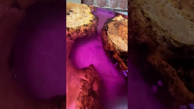 Журнальный стол из неповторимого слэба капового карагача с эпоксидной смолой и высушенными цветами🌸 смотреть онлайн