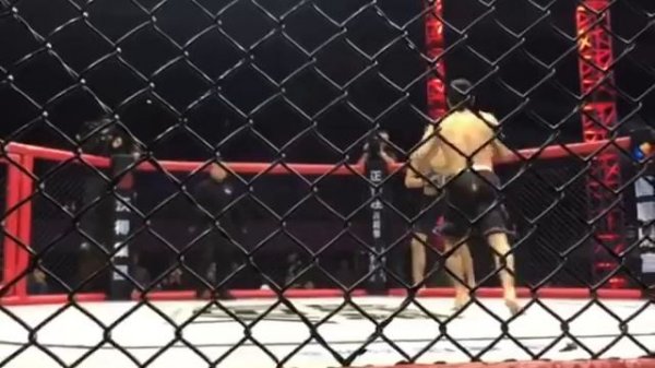 Новый бой Бехруз Зугуров VS Баходирчон Шоабдукодиров 2017