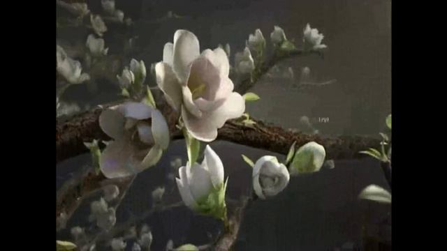 INDIGO - The Spiritual Conscious Expasion Of Love (2015 ORIGINAL MIX & Videoedition) смотреть онлайн