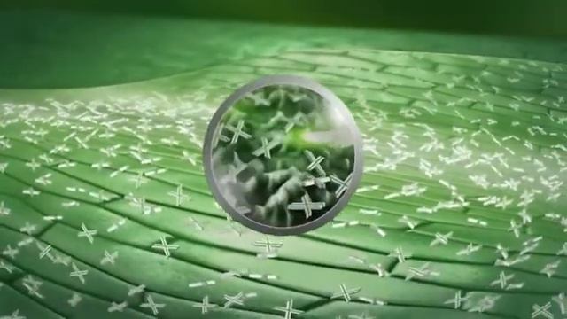 BASF - Xemium Fungicide смотреть онлайн