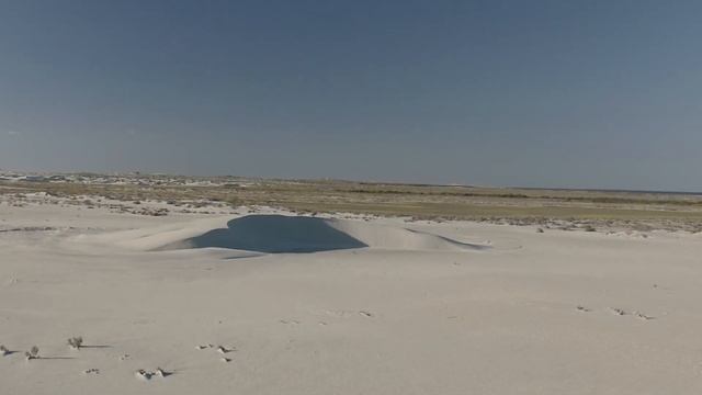 Baja California underwater. Sharks, Whales, Sealions and Mobula's. смотреть онлайн