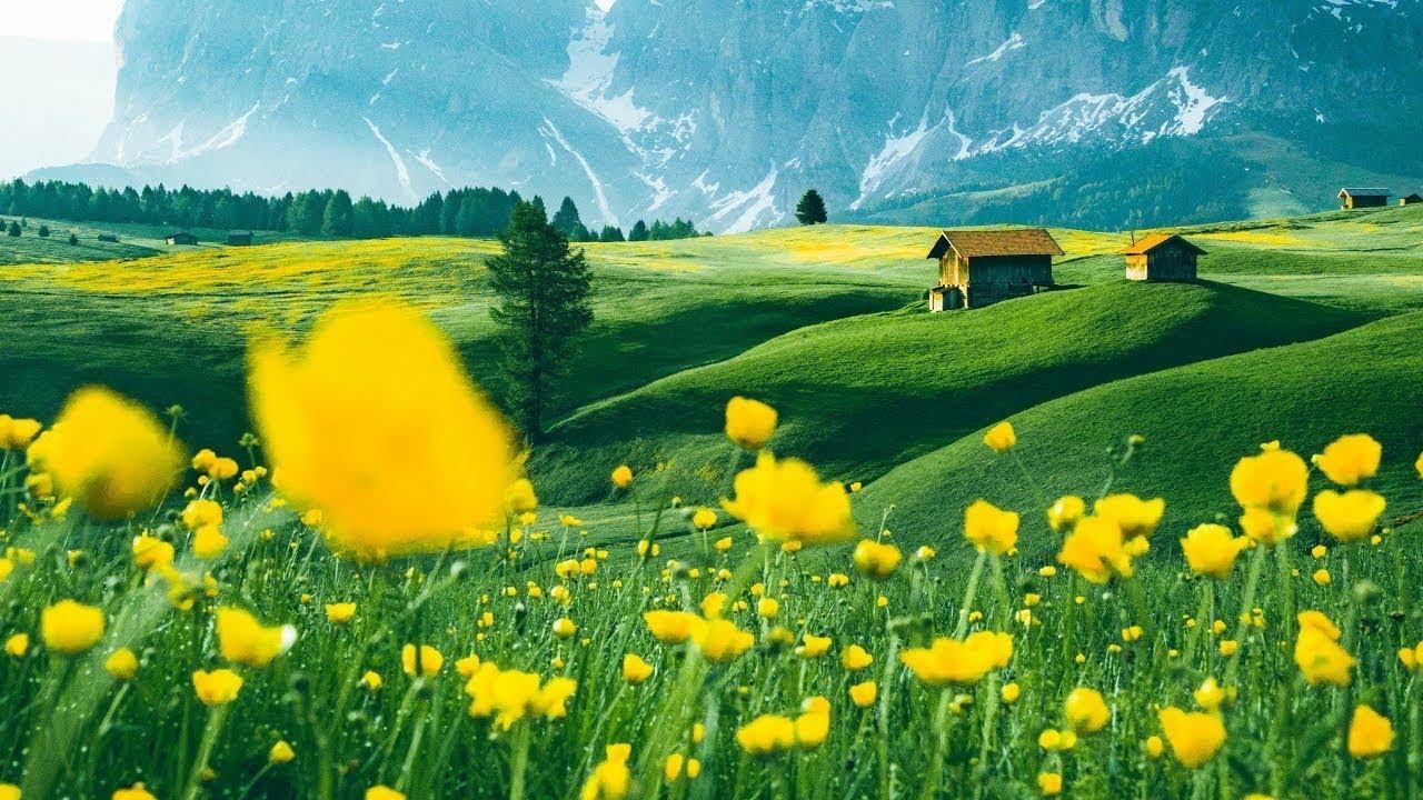 Романтика зимы! Невероятно красивая романтическая зимняя музыка Любви! Музыка лечит сердце 2023 #5 смотреть онлайн