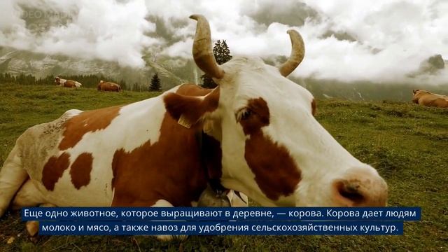 Деревенская жизнь ИИ. Life in a village AI смотреть онлайн