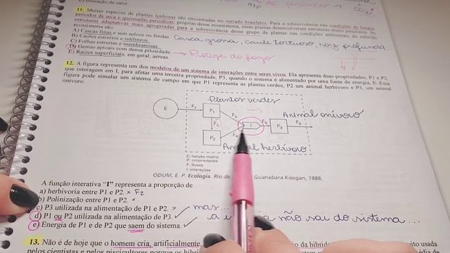 Correção ENEM 2012 - Biologia смотреть онлайн