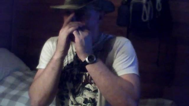 INDIANA JONES IN HARMONICA. смотреть онлайн