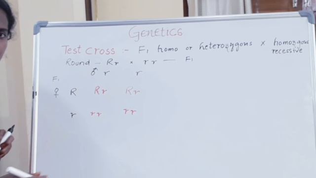 #test cross #genetics #dominant alleles #NEET Biology #12th Biology #inheritance # смотреть онлайн
