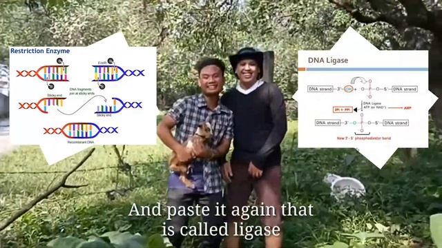 Biotech Song (In the tune of Lazy Song) смотреть онлайн