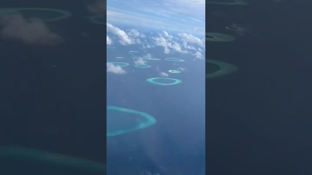 🎴 MALDIVES 🌴 AERIAL VIDEO ✈ FROM A SEAPLANE #shortsvideo смотреть онлайн