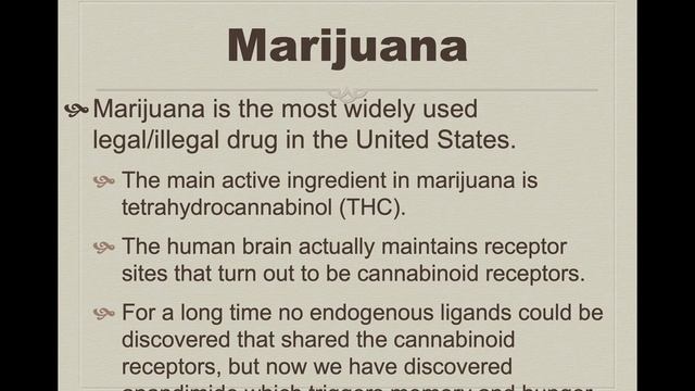 Physiological Psych Chapter 4 смотреть онлайн