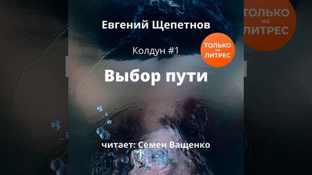 Евгений Щепетнов – Выбор пути. [Аудиокнига] смотреть онлайн