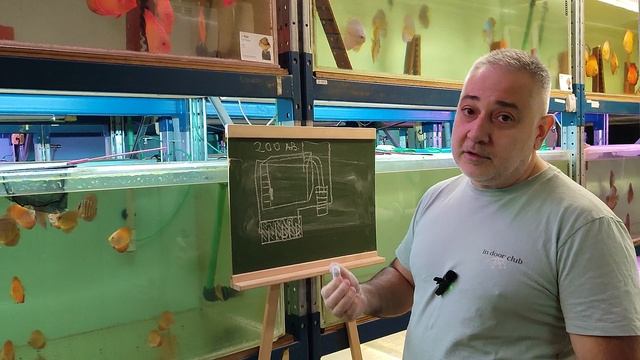 Устройство 200 литрового аквармума для дискусов . полный разбор смотреть онлайн
