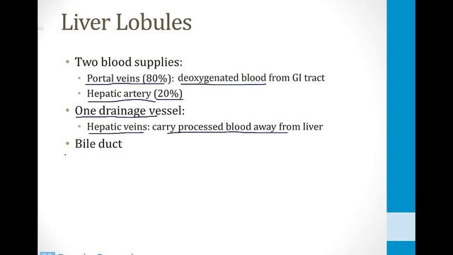 Gastroenterology 1 Anatomy 5 Liver, Gallbladder, and Pancreas atf смотреть онлайн