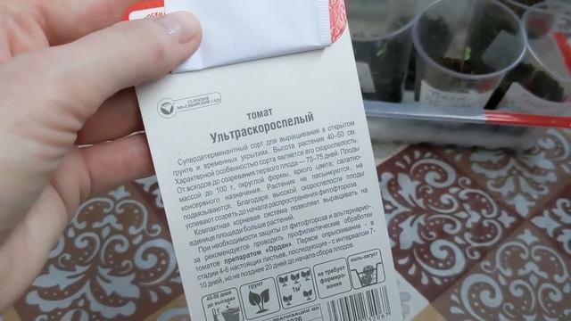 # 325. Что я придумала с ТОМАТАМИ 😊 Мне ЭТА ИДЕЯ понравилась. Рассада томатов 2024. Загородная жизн смотреть онлайн