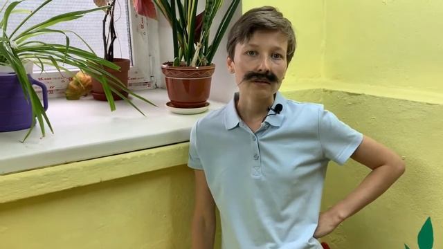 Игра «Тайны писателей» Видео №2 смотреть онлайн