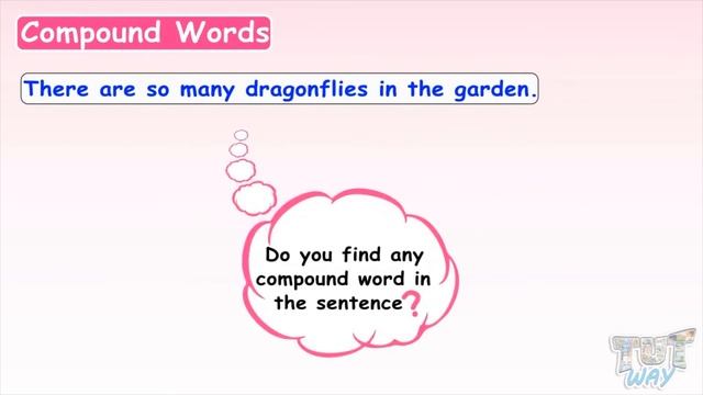 Compound Words | Examples Of Compound Words | Compound Words For Kids | English