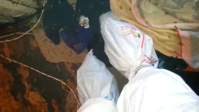 5 марта 2023 г. смотреть онлайн